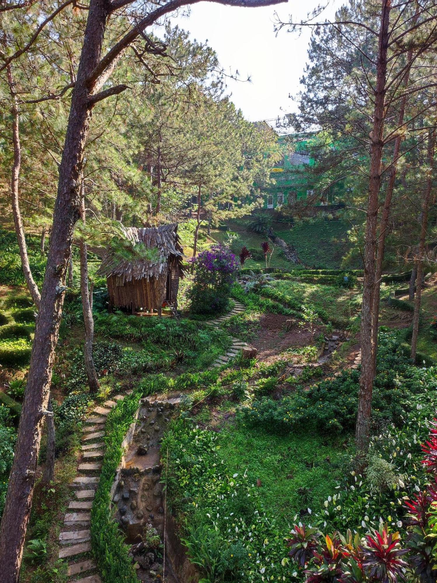 Rung Hoa Hotel Νταλάτ Εξωτερικό φωτογραφία